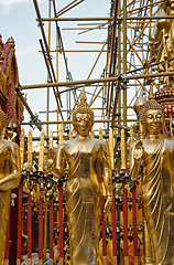 Image showing gold buddha statues