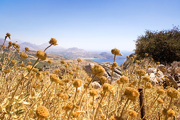 Image showing Lovely Coastline