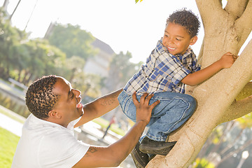 Image showing Happy Mixed Race Father Helping Son Climb a Tree