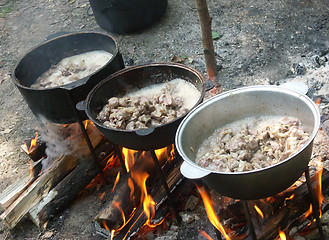 Image showing Big camp bonfire