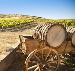 Image showing Grape Vineyard with Old Barrel Carriage Wagon
