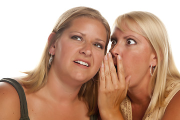 Image showing Two Blonde Woman Whispering Secrets