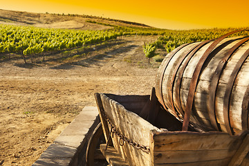 Image showing Grape Vineyard with Old Barrel Carriage Wagon
