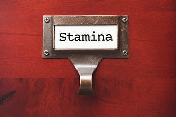 Image showing Lustrous Wooden Cabinet with Stamina File Label