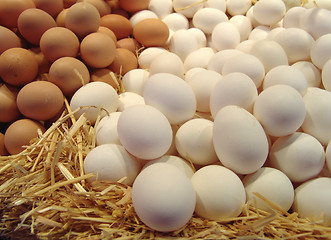 Image showing eggs on straw