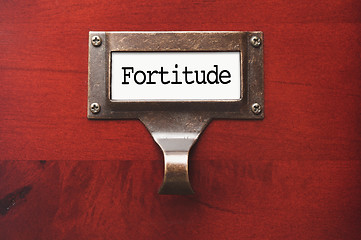 Image showing Lustrous Wooden Cabinet with Fortitude File Label