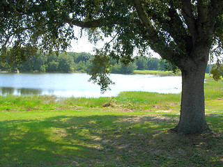 Image showing picnic area