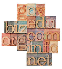 Image showing internet domains in wood type