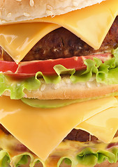 Image showing Tasty Double Cheeseburger closeup