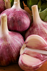 Image showing Garlic close up