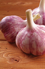 Image showing New Harvest Garlic Close up