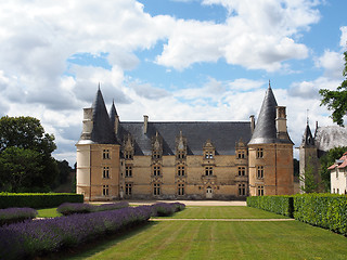 Image showing La Roche castle in summer, Vienne,  France.