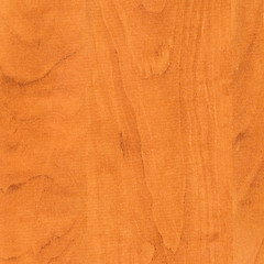 Image showing Wood