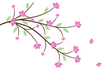 Image showing Cherry Blossom