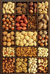 Image showing Nut varieties