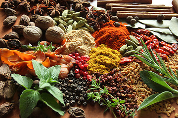 Image showing Herbs and spices