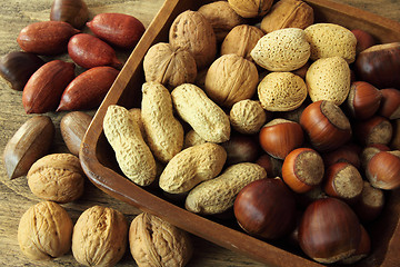 Image showing Nut varieties