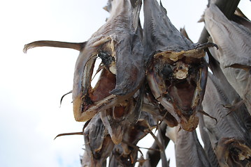 Image showing Stockfish