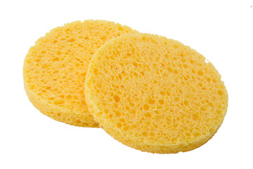 Image showing Facial sponge