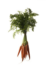 Image showing Carrots and leaves