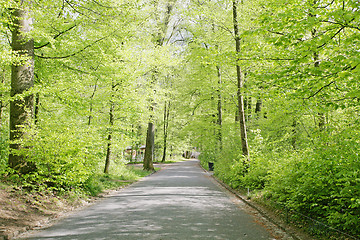 Image showing Roads of a beautifull Swiss park