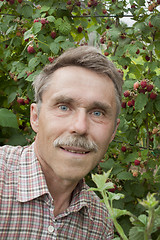 Image showing An elderly gardener in the garden