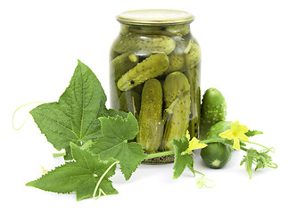 Image showing Pickled cucumbers in jar