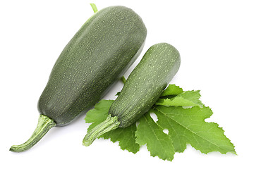 Image showing Two large courgettes