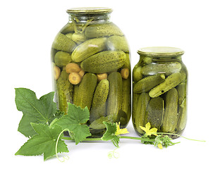 Image showing Pickled cucumbers in jars 