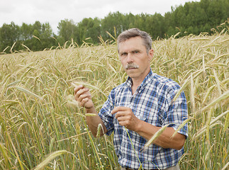 Image showing The farmer in the field