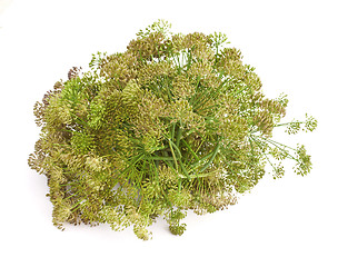 Image showing Big bunch of dill seeds