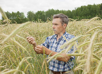 Image showing The farmer in the field