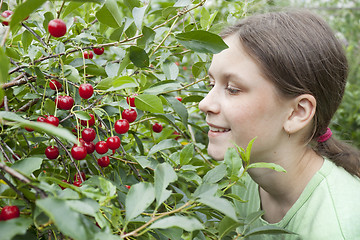 Image showing Girl under the cherry tree