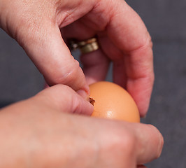 Image showing Female hands cracking open egg