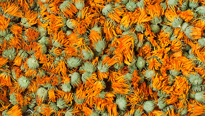 Image showing Dried marigold