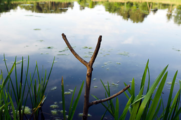 Image showing Cut tree branch fishing rod stand on lake shore 