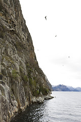 Image showing steep rock at coast in norway