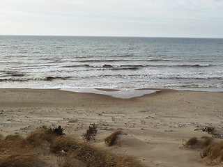 Image showing sandy coastline in north denmark