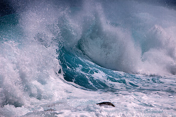 Image showing Ocean wave 