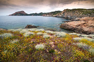 Image showing Corsica coastline