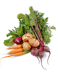 Image showing Arrangement of Raw Organic Vegetables