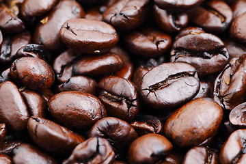 Image showing Coffee beans