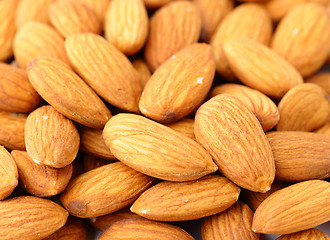 Image showing almond