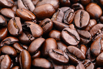 Image showing coffee bean