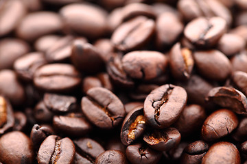 Image showing Coffee beans