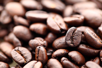 Image showing Coffee bean