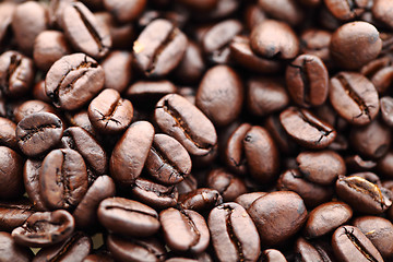 Image showing Coffee beans