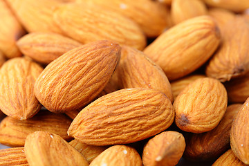 Image showing almonds