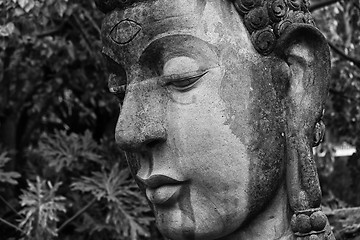 Image showing buddha head close up