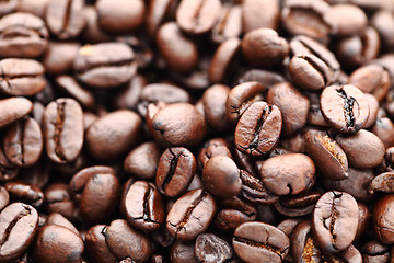 Image showing Coffee beans